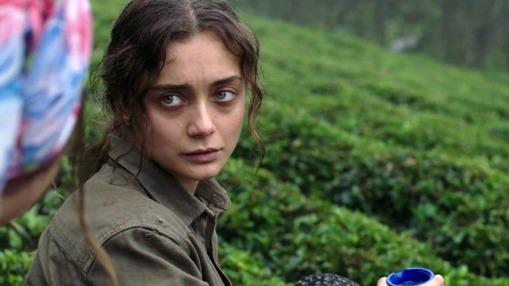 Sibel 2018